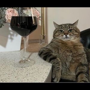 Meet your Posher, Kayce